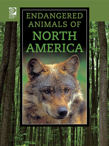 Endangered Animals Of The World North America World Book